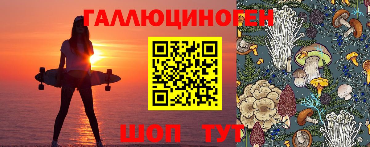 Галлюциногенные грибы мухоморы  Вход с VPN  Стрежевой 