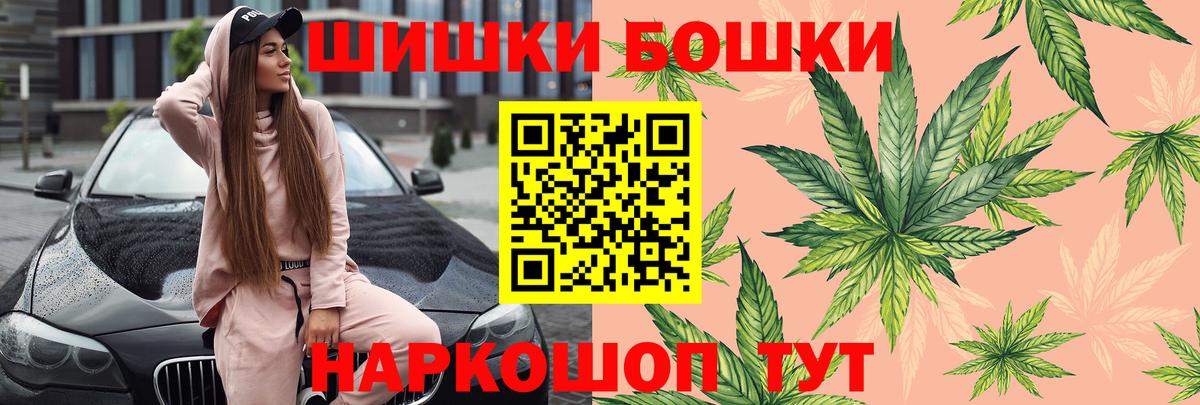 Бошки Шишки планчик Стрежевой